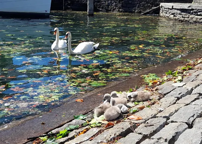 דירה Piazza Grande House